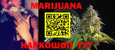 прущие грибы Новозыбков