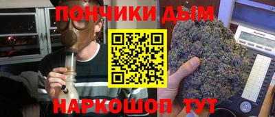 прущие грибы Новозыбков