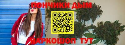прущие грибы Новозыбков
