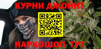 прущие грибы Новозыбков
