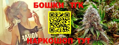 прущие грибы Новозыбков