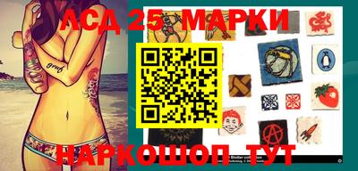прущие грибы Новозыбков
