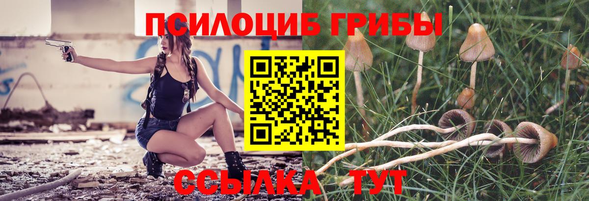 Псилоцибиновые грибы GOLDEN TEACHER  Вход с VPN  Усть-Джегута 